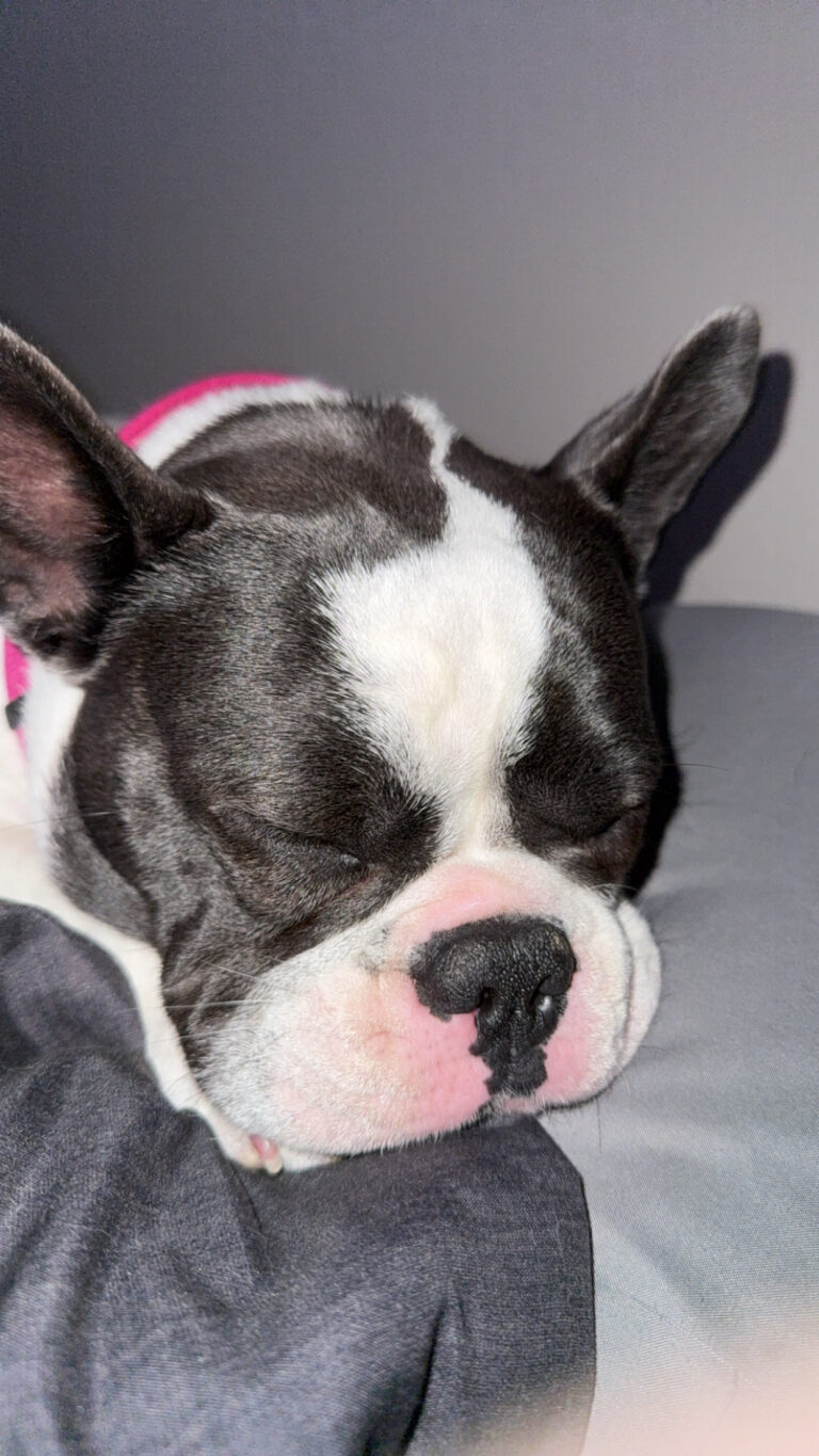 CjQKMFNuYXBjaGF0LzEzLjUyLjAuNTQgKGlQaG9uZTE3LDE7IGlPUyAxOC41OyBnemlwKSAC